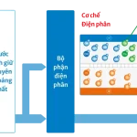 Mitsubishi Cleansui EU301 Ion Kiềm Preview 12
